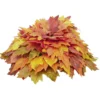 Coussin feuilles d'érable artificiel orange Ø40xH20cm