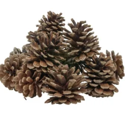 Décoration pomme de pin - Filet de 220g
