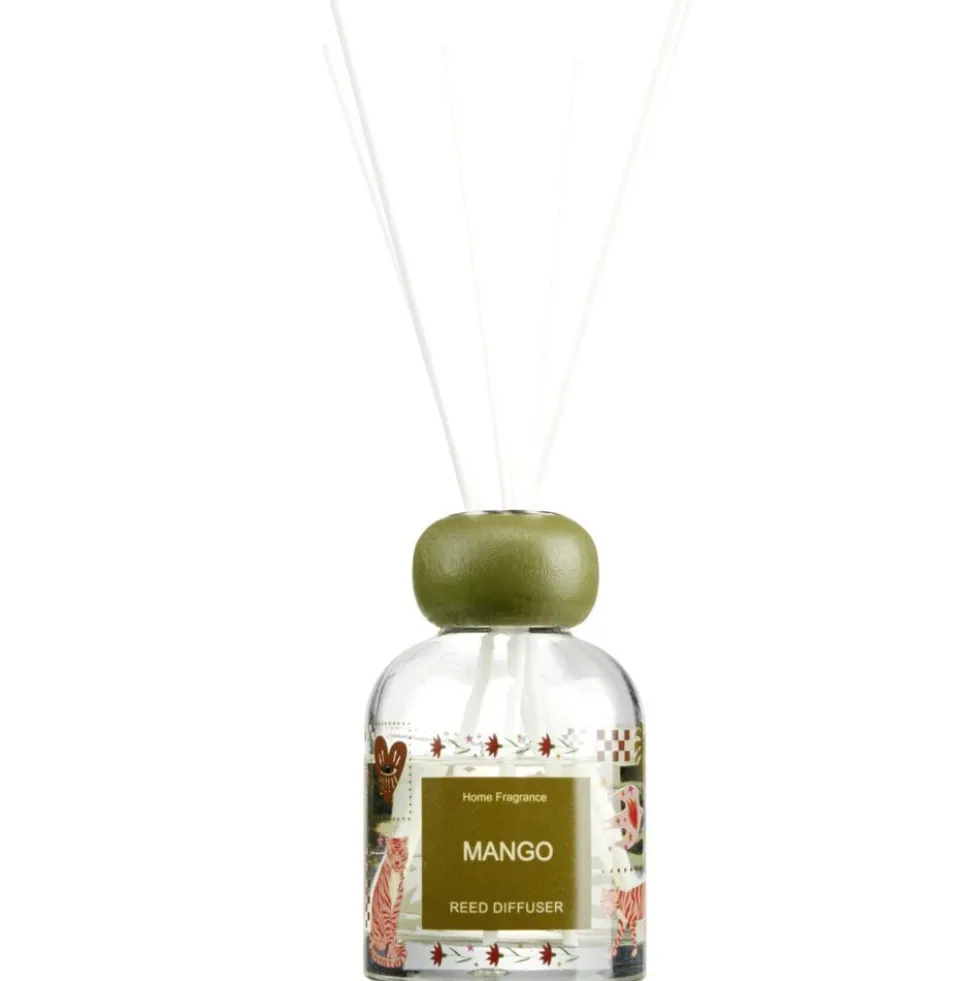 Diffuseur de parfum capillaire 100ml en verre Ø6xH10cm (3 modèles)