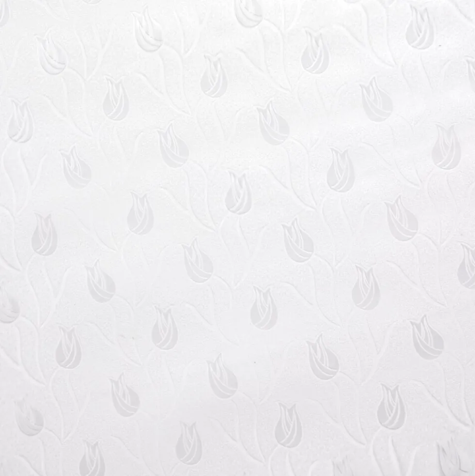 Film brise-vue transparent 45x200cm