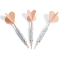 Fléchette acier plastique pointe souple x3