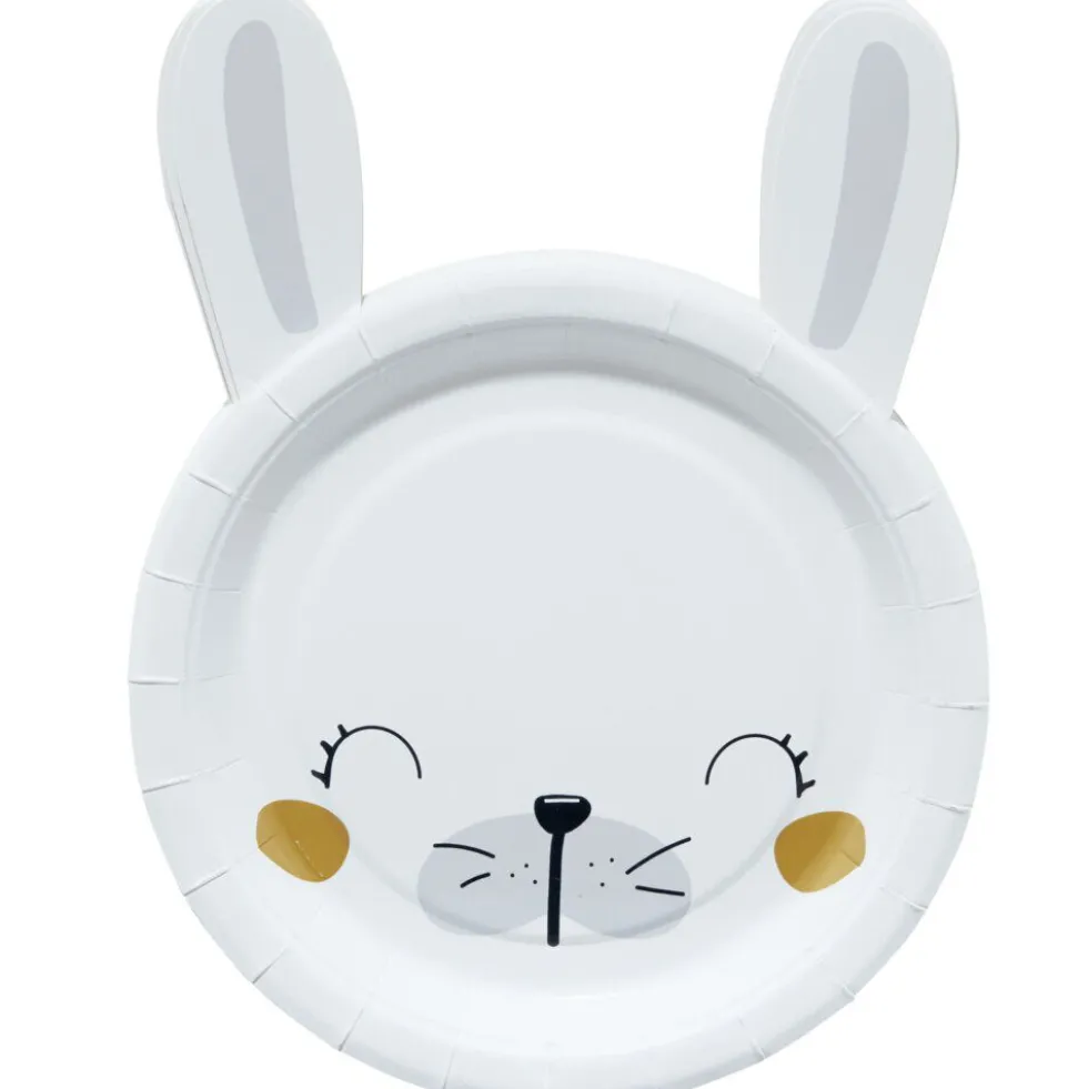 Lot de 10 assiettes en carton design lapin de Pâques