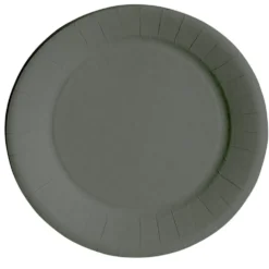 Lot de 10 assiettes en carton gris Ø18 cm