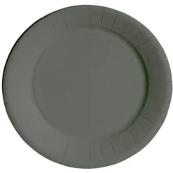 Lot de 10 assiettes en carton gris Ø23 cm