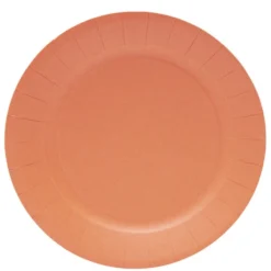 Lot de 10 assiettes en carton orange Ø23cm