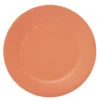 Lot de 10 assiettes en carton orange Ø18cm