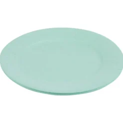 Lot de 10 assiettes en carton vert d'eau Ø18 cm