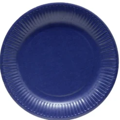 Lot de 10 assiettes jetables en carton bleu