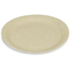 Lot de 8 assiettes motif dinosaures carton Ø23cm