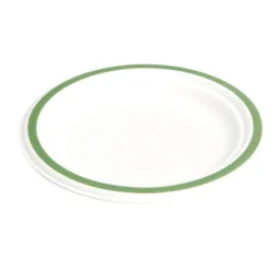 Lot de 20 assiettes plates fibre canne à sucre Ø18cm
