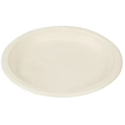 Lot de 50 assiettes plates rondes jetables en canne à sucre