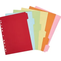 Lot de 6 intercalaires A4 21x29,7cm