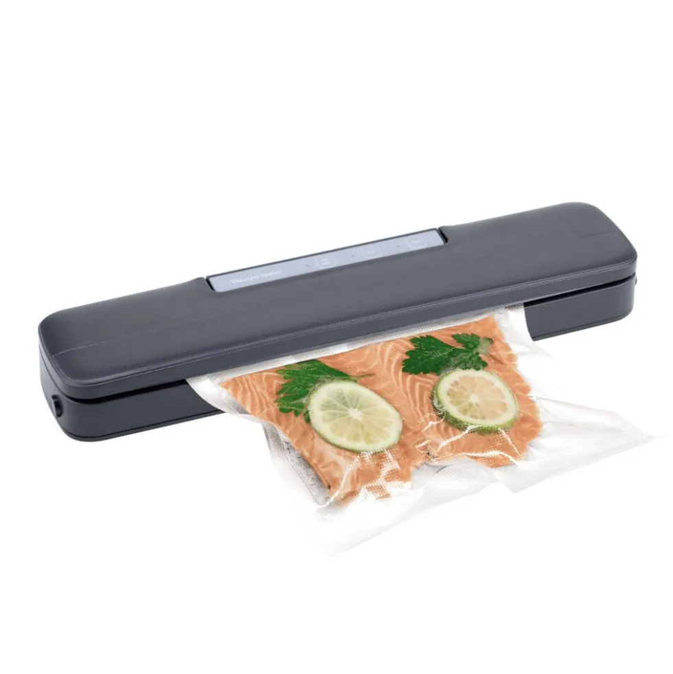 Machine sous-vide Homday 80W
