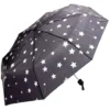 Parapluie manuel étoile noir L28 cm