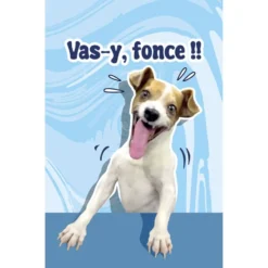 Parfum d'ambiance pour voiture senteur fraise