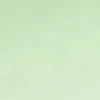 Parure de lit 2 personnes 240x220cm avec 2 taies polyester uni vert