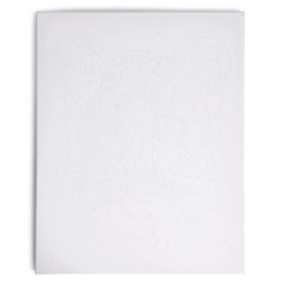 Peinture par numéro 40x50cm avec peintures et pinceaux - 3 modèles