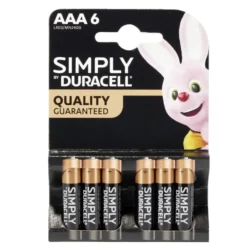 Pile LR03 type AAA x6 Duracell