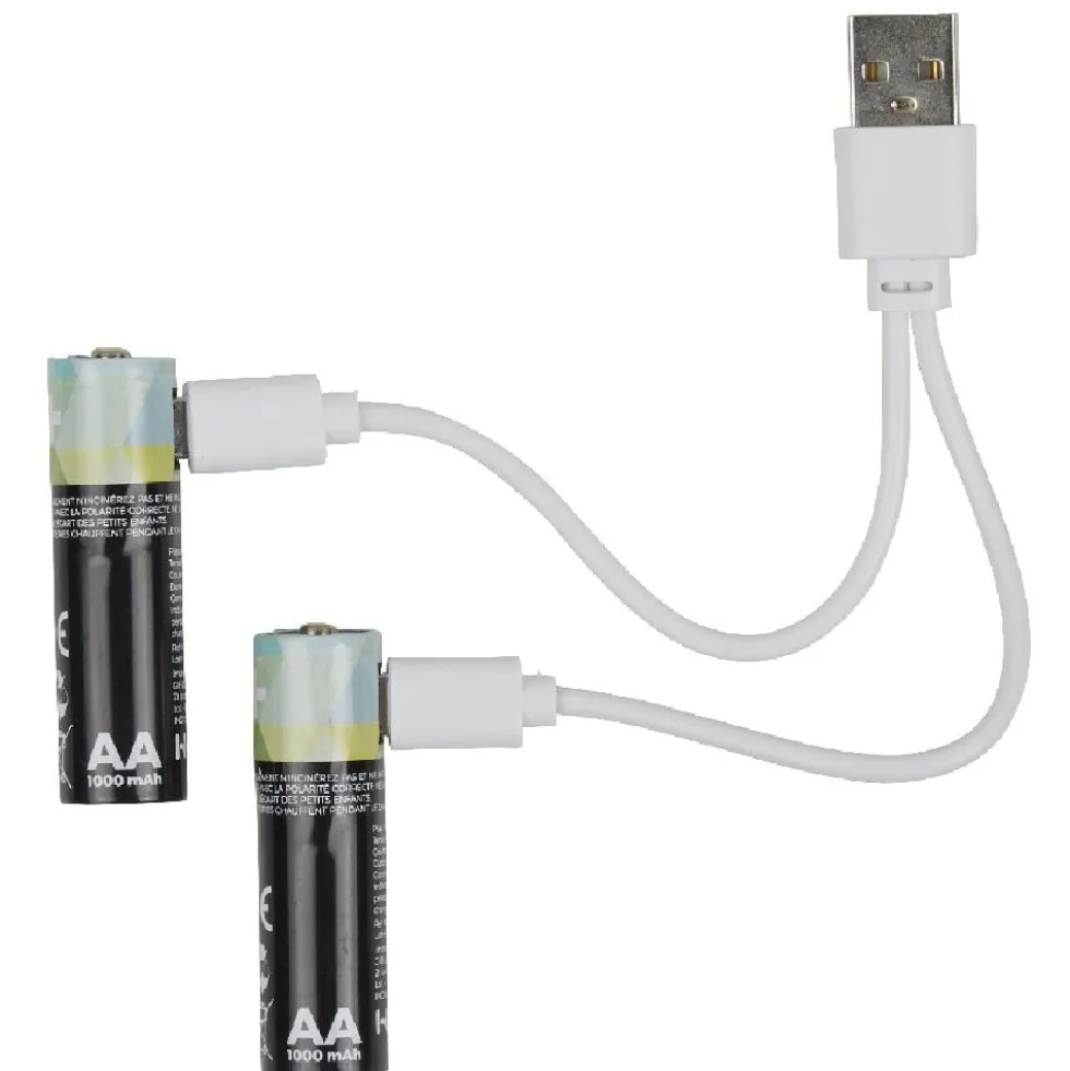 Pile rechargeable USB x4