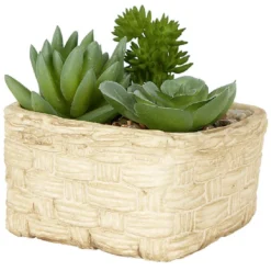 Plante grasse artificielle pot céramique style panier effet pierre