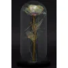 Rose iridescente à led sous cloche