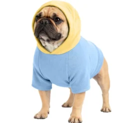 Sweat à capuche pour chien violet - Taille M