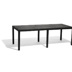 Table rectangulaire résine 10 personnes gris