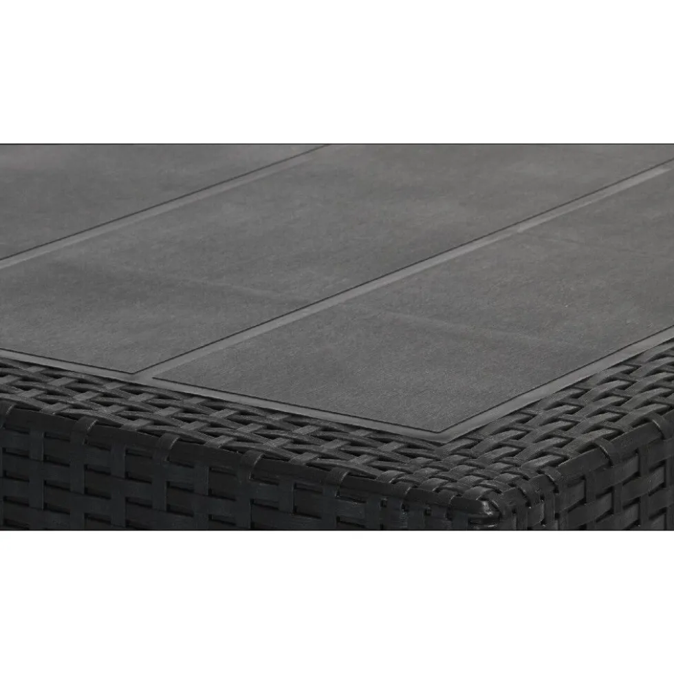 Table rectangulaire résine 10 personnes gris